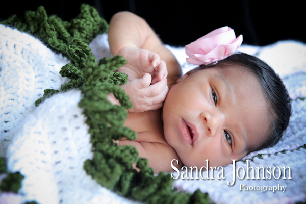 Best Baby Portraits by Sandra Johnson - Sandra Johnson (SJFoto.com)