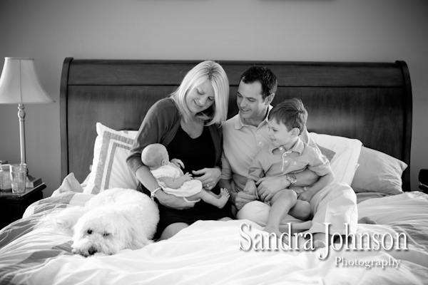 Best Baby Portraits by Sandra Johnson - Sandra Johnson (SJFoto.com)