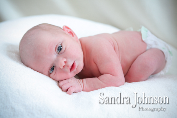 Best Baby Portraits by Sandra Johnson - Sandra Johnson (SJFoto.com)