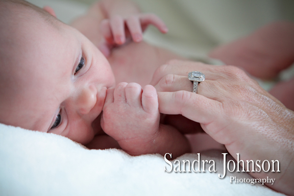 Best Baby Portraits by Sandra Johnson - Sandra Johnson (SJFoto.com)