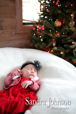 Best Baby Portraits by Sandra Johnson - Sandra Johnson (SJFoto.com)