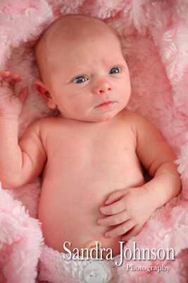 Best Baby Portraits by Sandra Johnson - Sandra Johnson (SJFoto.com)