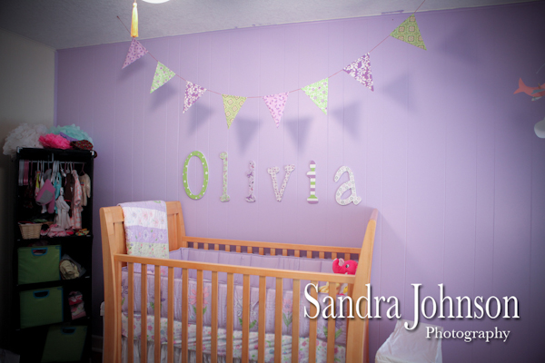 Best Baby Portraits by Sandra Johnson - Sandra Johnson (SJFoto.com)