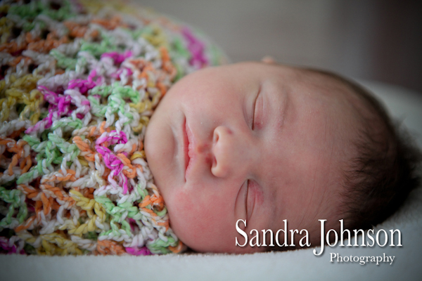 Best Baby Portraits by Sandra Johnson - Sandra Johnson (SJFoto.com)