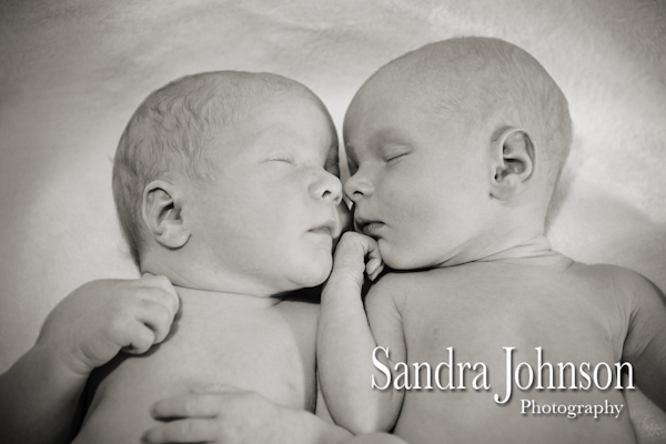 Best Baby Portraits by Sandra Johnson - Sandra Johnson (SJFoto.com)