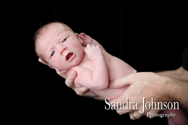 Best Baby Portraits by Sandra Johnson - Sandra Johnson (SJFoto.com)