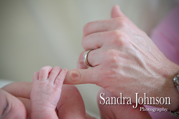 Best Baby Portraits by Sandra Johnson - Sandra Johnson (SJFoto.com)