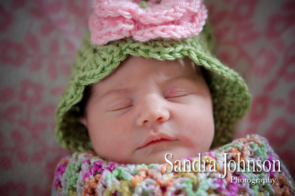 Best Baby Portraits by Sandra Johnson - Sandra Johnson (SJFoto.com)