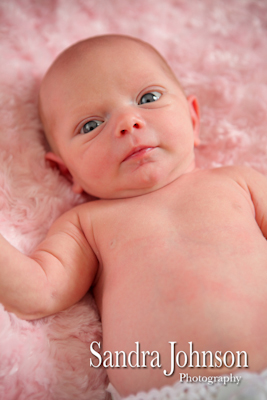 Best Baby Portraits by Sandra Johnson - Sandra Johnson (SJFoto.com)