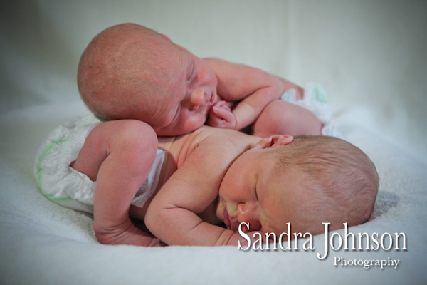 Best Baby Portraits by Sandra Johnson - Sandra Johnson (SJFoto.com)