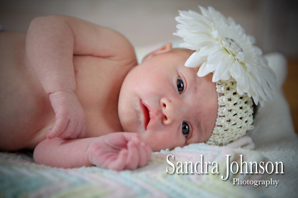 Best Baby Portraits by Sandra Johnson - Sandra Johnson (SJFoto.com)