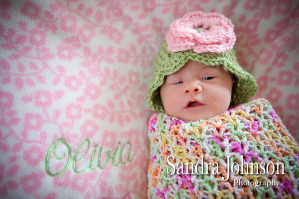 Best Baby Portraits by Sandra Johnson - Sandra Johnson (SJFoto.com)
