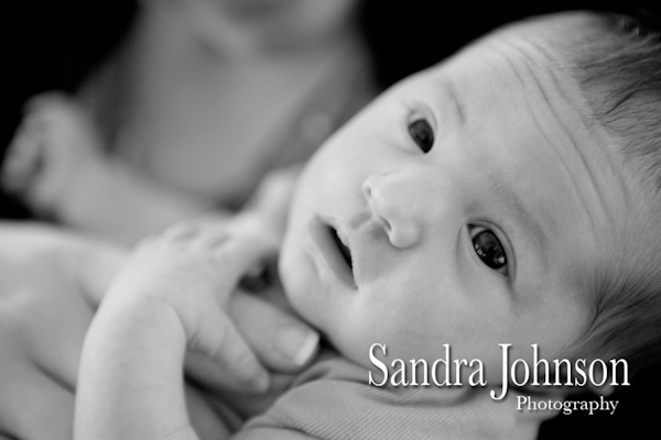 Best Baby Portraits by Sandra Johnson - Sandra Johnson (SJFoto.com)