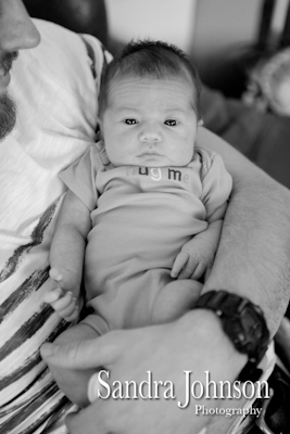 Best Baby Portraits by Sandra Johnson - Sandra Johnson (SJFoto.com)