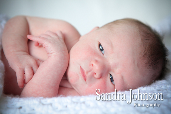 Best Baby Portraits by Sandra Johnson - Sandra Johnson (SJFoto.com)