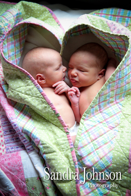 Best Baby Portraits by Sandra Johnson - Sandra Johnson (SJFoto.com)