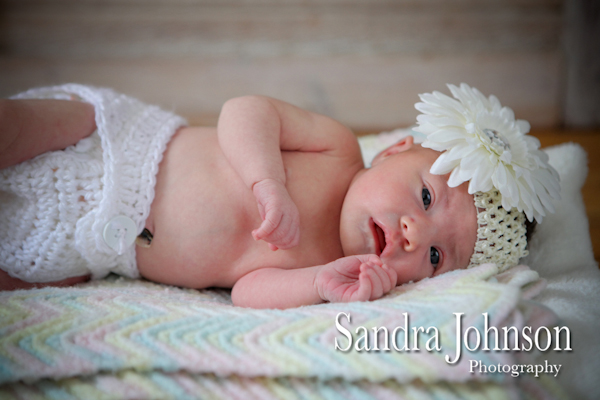 Best Baby Portraits by Sandra Johnson - Sandra Johnson (SJFoto.com)