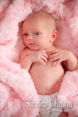 Best Baby Portraits by Sandra Johnson - Sandra Johnson (SJFoto.com)