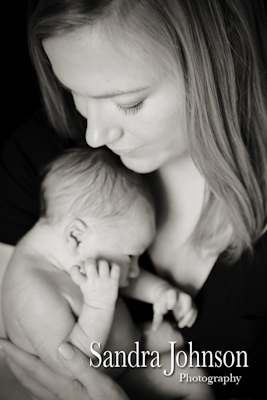 Best Baby Portraits by Sandra Johnson - Sandra Johnson (SJFoto.com)