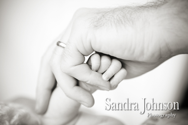 Best Baby Portraits by Sandra Johnson - Sandra Johnson (SJFoto.com)