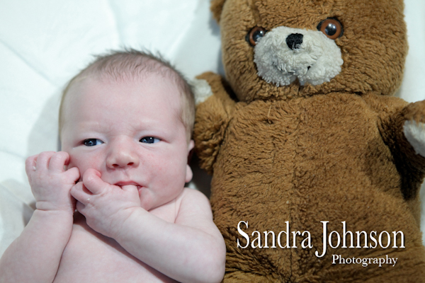 Best Baby Portraits by Sandra Johnson - Sandra Johnson (SJFoto.com)