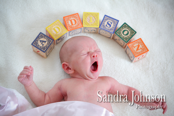 Best Baby Portraits by Sandra Johnson - Sandra Johnson (SJFoto.com)