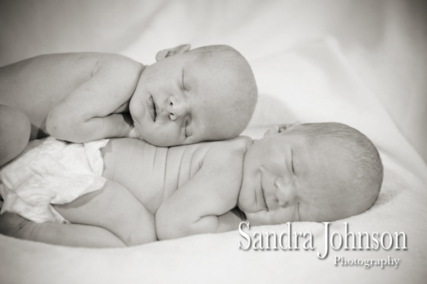 Best Baby Portraits by Sandra Johnson - Sandra Johnson (SJFoto.com)