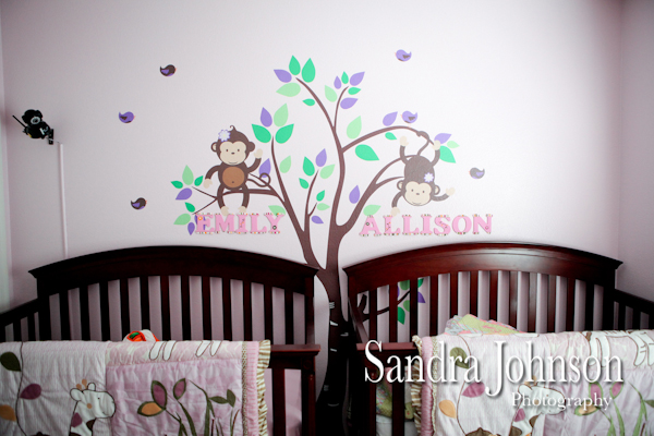 Best Baby Portraits by Sandra Johnson - Sandra Johnson (SJFoto.com)