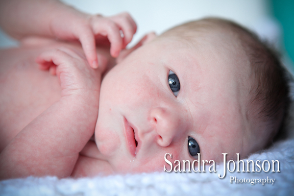Best Baby Portraits by Sandra Johnson - Sandra Johnson (SJFoto.com)