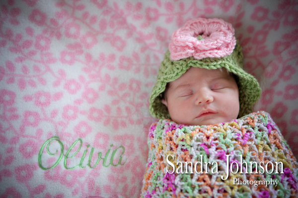 Best Baby Portraits by Sandra Johnson - Sandra Johnson (SJFoto.com)