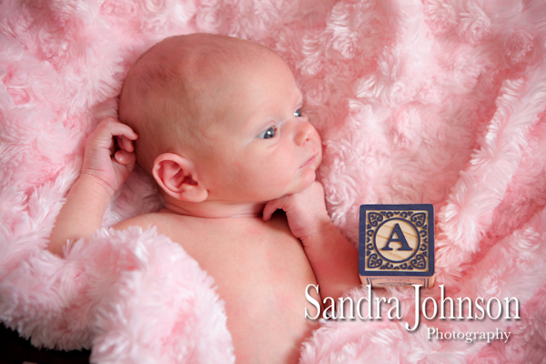Best Baby Portraits by Sandra Johnson - Sandra Johnson (SJFoto.com)