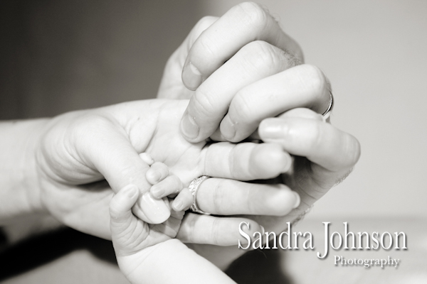 Best Baby Portraits by Sandra Johnson - Sandra Johnson (SJFoto.com)