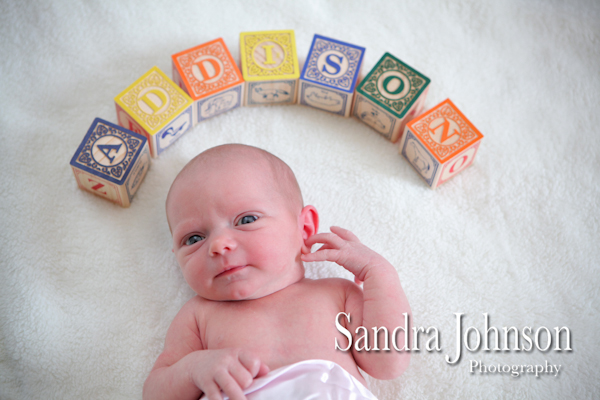 Best Baby Portraits by Sandra Johnson - Sandra Johnson (SJFoto.com)