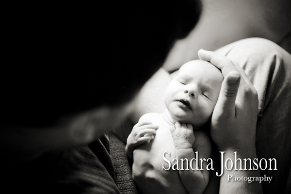 Best Baby Portraits by Sandra Johnson - Sandra Johnson (SJFoto.com)