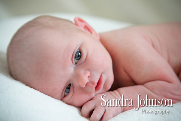 Best Baby Portraits by Sandra Johnson - Sandra Johnson (SJFoto.com)