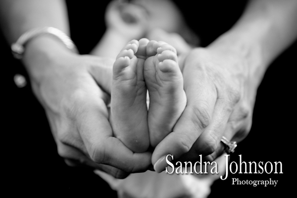 Best Baby Portraits by Sandra Johnson - Sandra Johnson (SJFoto.com)