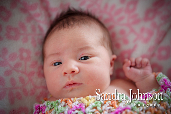 Best Baby Portraits by Sandra Johnson - Sandra Johnson (SJFoto.com)