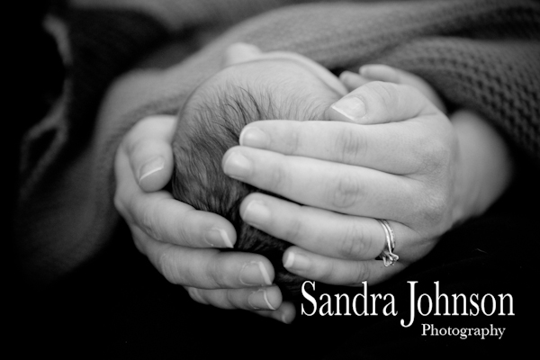 Best Baby Portraits by Sandra Johnson - Sandra Johnson (SJFoto.com)