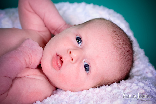 Best Baby Portraits by Sandra Johnson - Sandra Johnson (SJFoto.com)