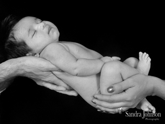 Best Baby Portraits by Sandra Johnson - Sandra Johnson (SJFoto.com)