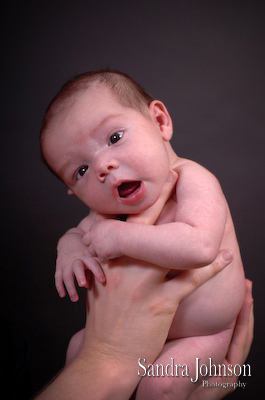 Best Baby Portraits by Sandra Johnson - Sandra Johnson (SJFoto.com)