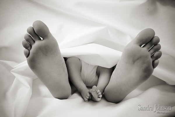 Best Baby Portraits by Sandra Johnson - Sandra Johnson (SJFoto.com)