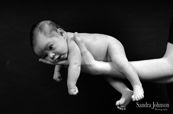 Best Baby Portraits by Sandra Johnson - Sandra Johnson (SJFoto.com)