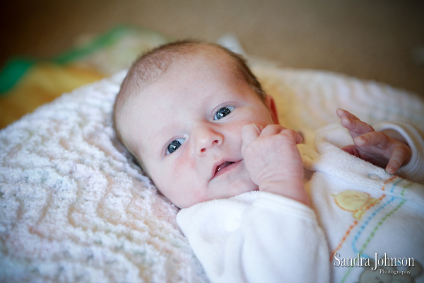 Best Baby Portraits by Sandra Johnson - Sandra Johnson (SJFoto.com)