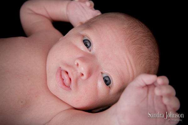Best Baby Portraits by Sandra Johnson - Sandra Johnson (SJFoto.com)