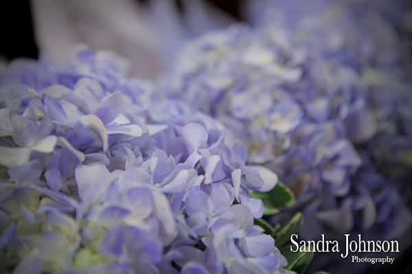 Best Dubsdread Wedding photographer, Orlando - Sandra Johnson (SJFoto.com)