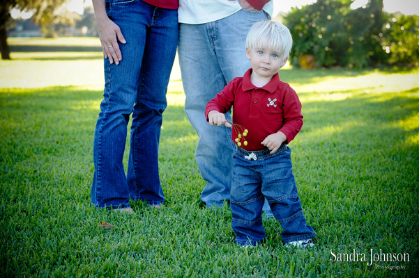 Best Orlando Family Portraits by Sandra Johnson - Sandra Johnson (SJFoto.com)