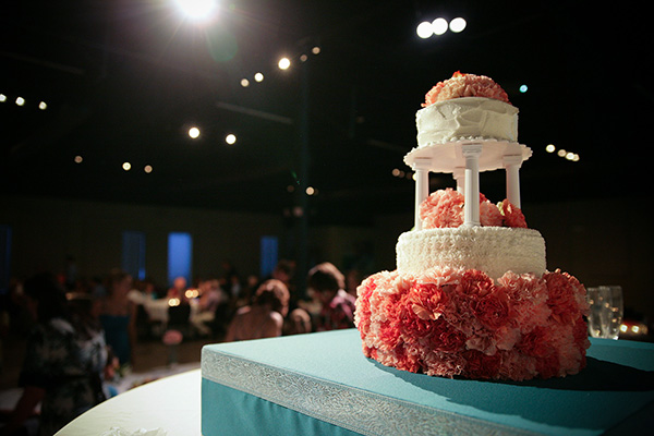 Best Oakleaf Wedding photographer - Sandra Johnson (SJFoto.com)
