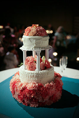 Best Oakleaf Wedding photographer - Sandra Johnson (SJFoto.com)