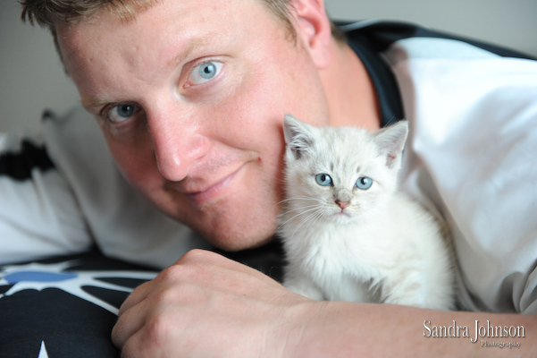 Best Cat Portraits by Sandra Johnson - Sandra Johnson (SJFoto.com)